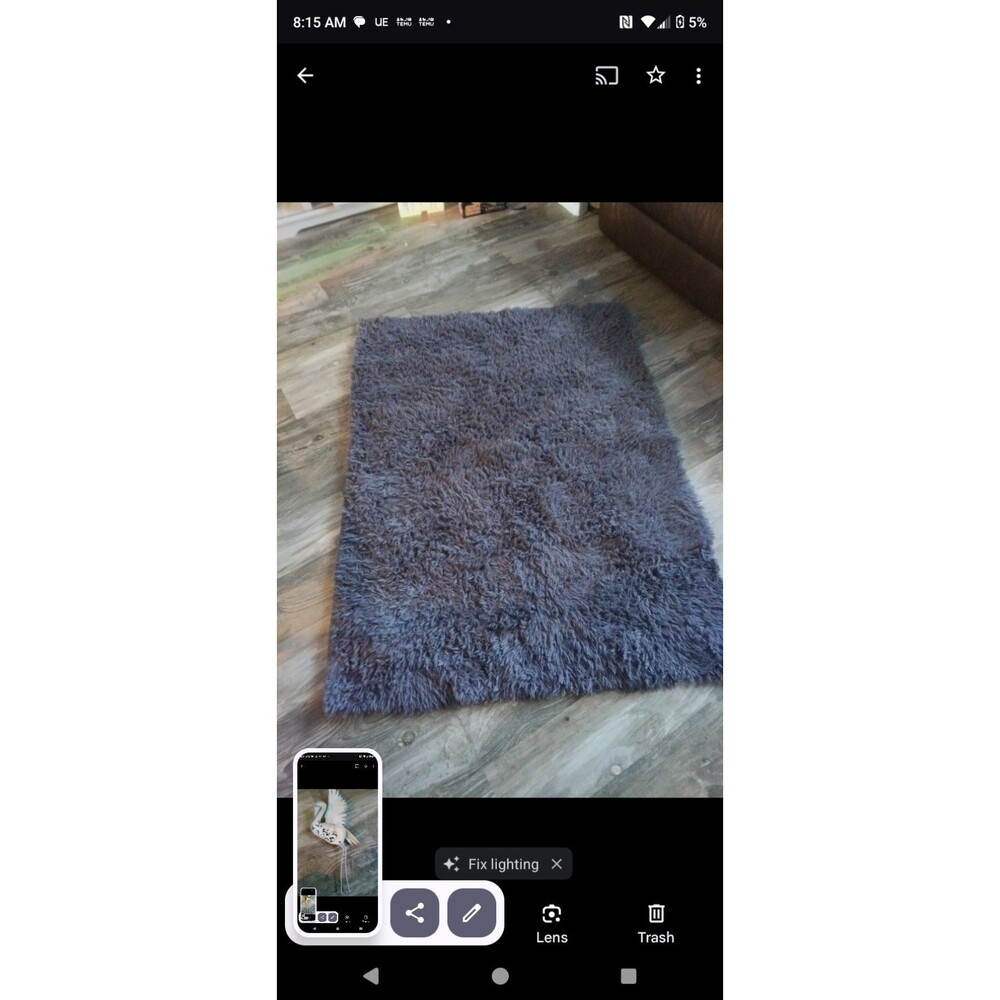 Andecor Velvet Pile Area Rug Room Decor, 3 x 5